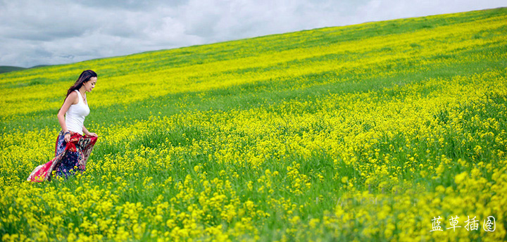 ʢͲ˻ ʢ,Ͳ˻ ɢ 215125e86hso9090hky6ok