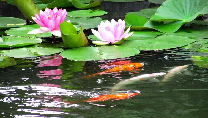 裬ϷصĲˮɻ ,,ˮ,ɻ ɢ 160059mvmv8wj1qjrvnbro