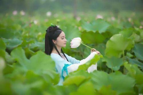 ·Ϊɢģ ,·,,, ɢ 111104utkt9dpp0ho0hd3n