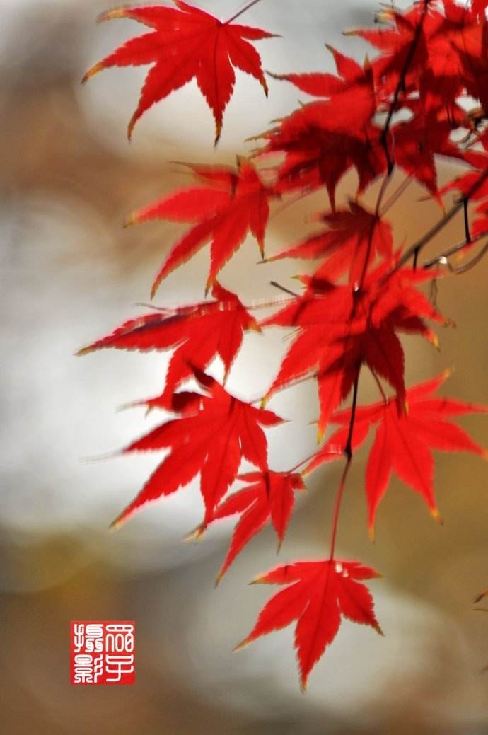 ԡҡҶ졷иУ£ ,,,Ҷ Ͻ 083838qtlnfburluf3uure