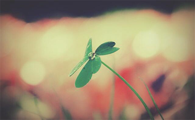 ȥ꣬Զ ȥ, ɢ 112416qxjj7xoap7wlzrok