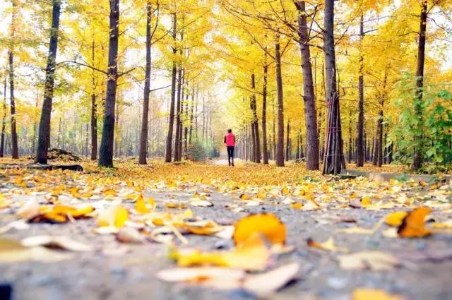 ˣ죡2  ɢ 203340gg7wg79gwtla8wwg