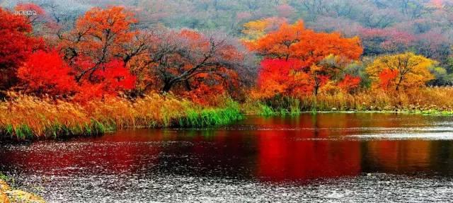 Ҷ죬޸ Ҷ,,,޸ ɢ 071234e7ailkm88z58hhq9