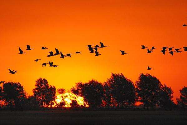   Ͻ 070549essoss664v39rbzs