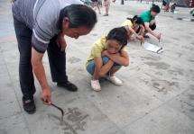 㳡鷨(ʽʫʮ) 㳡,鷨,ʫ ִʫ 062921w1x1nnz1ppvzvl98