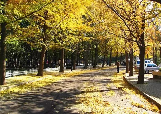 Сʫ ,ʫ ִʫ 210223bwdm3wdz222g272q