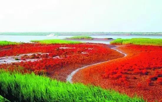 ܾ ,, ִʫ 210646ckm6vmsqhsdscdh6