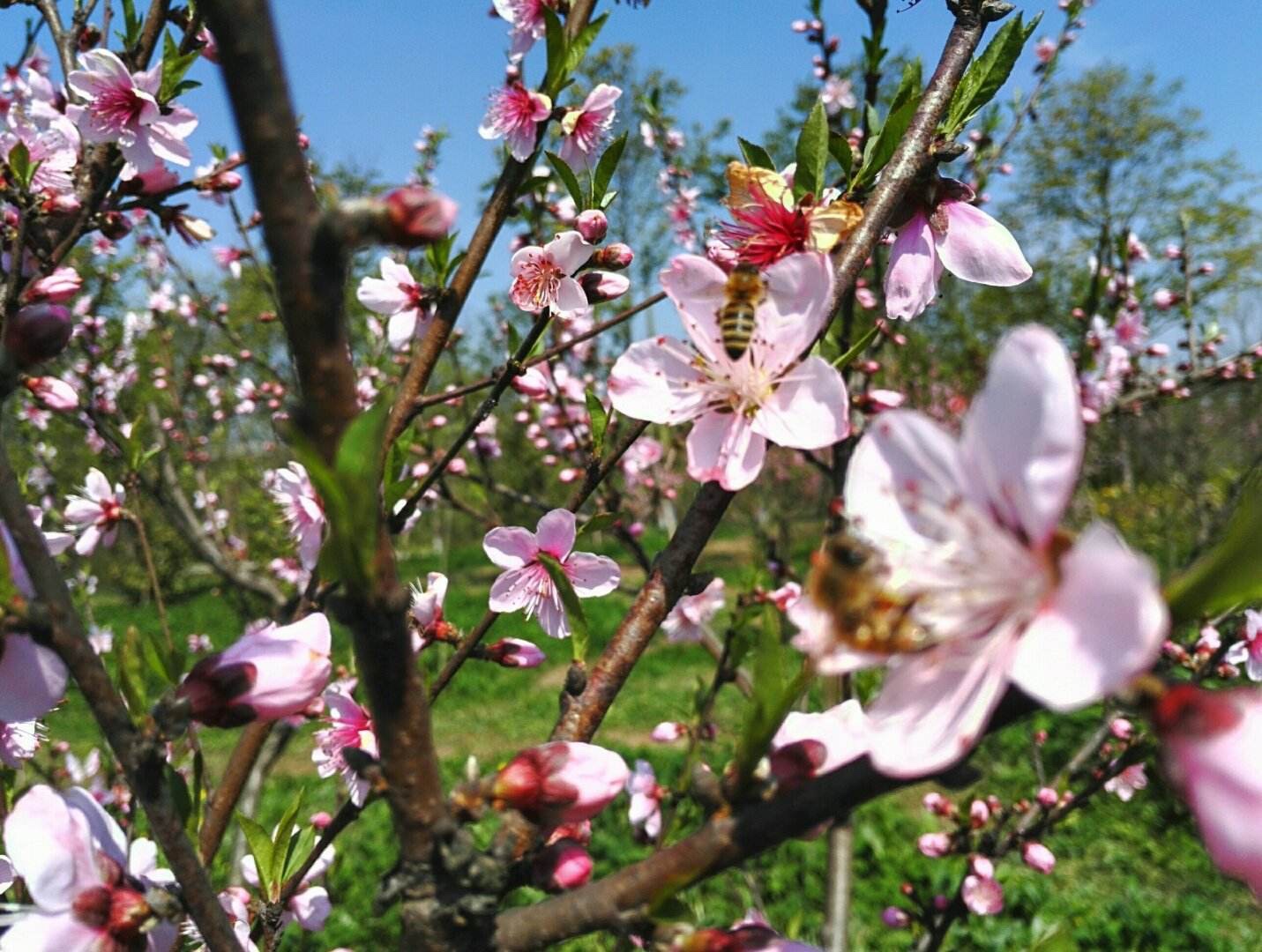 ľӣ֮ ľ,, ɢ 073227rk7dory8daddn1jz