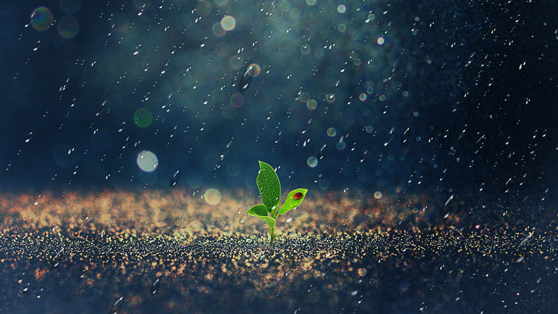 ũϲ  Ͻ 082809cxviv3m6bq4mvu8y