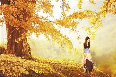 ۷ ,, ִʫ 085928sevpoj91sjfzeksv