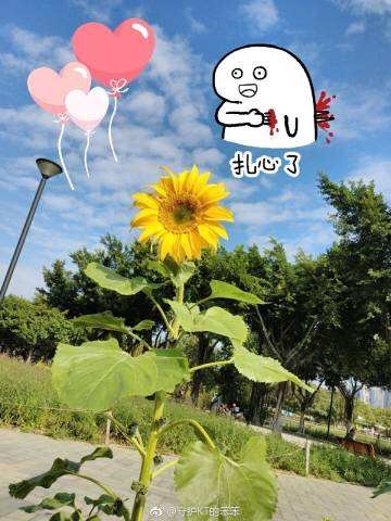 æµգǴ æµ,, ִʫ 061752yq46y41zkxxtjtt4