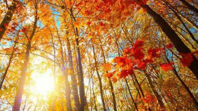 46e400038dfe64eef8c4.jpg 46e400038dfe64eef8c4.jpg