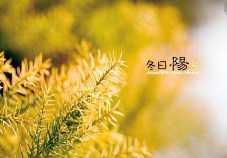 輯ͻأů ,ͻأ,,ů ִʫ 230427mz8ke8ymcpup65tu