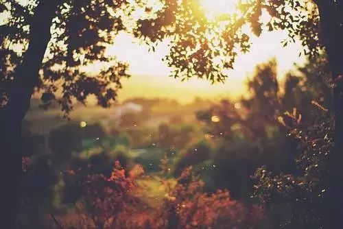   ԭ  £6ף ,ԭ ִʫ 154219osm5hczyryuicl9y