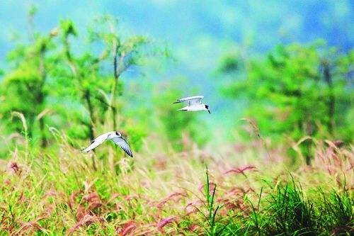 質ݺ 質,,,ݺ ִʫ 090226fle9erq82m9zl2y3