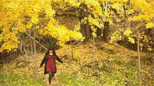 ӣ䶬һ ,䶬,һ, ִʫ 214035d6yqc63jdjgd4dhy