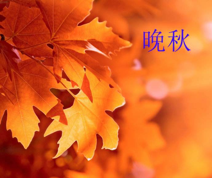 Ʈĕ Ʈ ִʫ 220420e5iwzwumej88kv5j