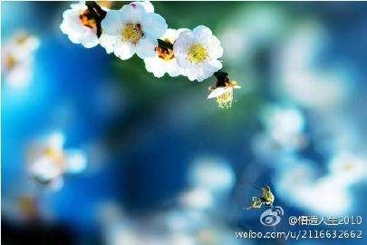 ΰʹ ,,ΰ ִʫ 091850o94yqbifwq9zpize