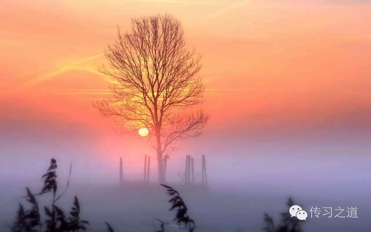 𴲣糿 ,糿,, ִʫ 132844jjvp8ojl7tuoj7oc