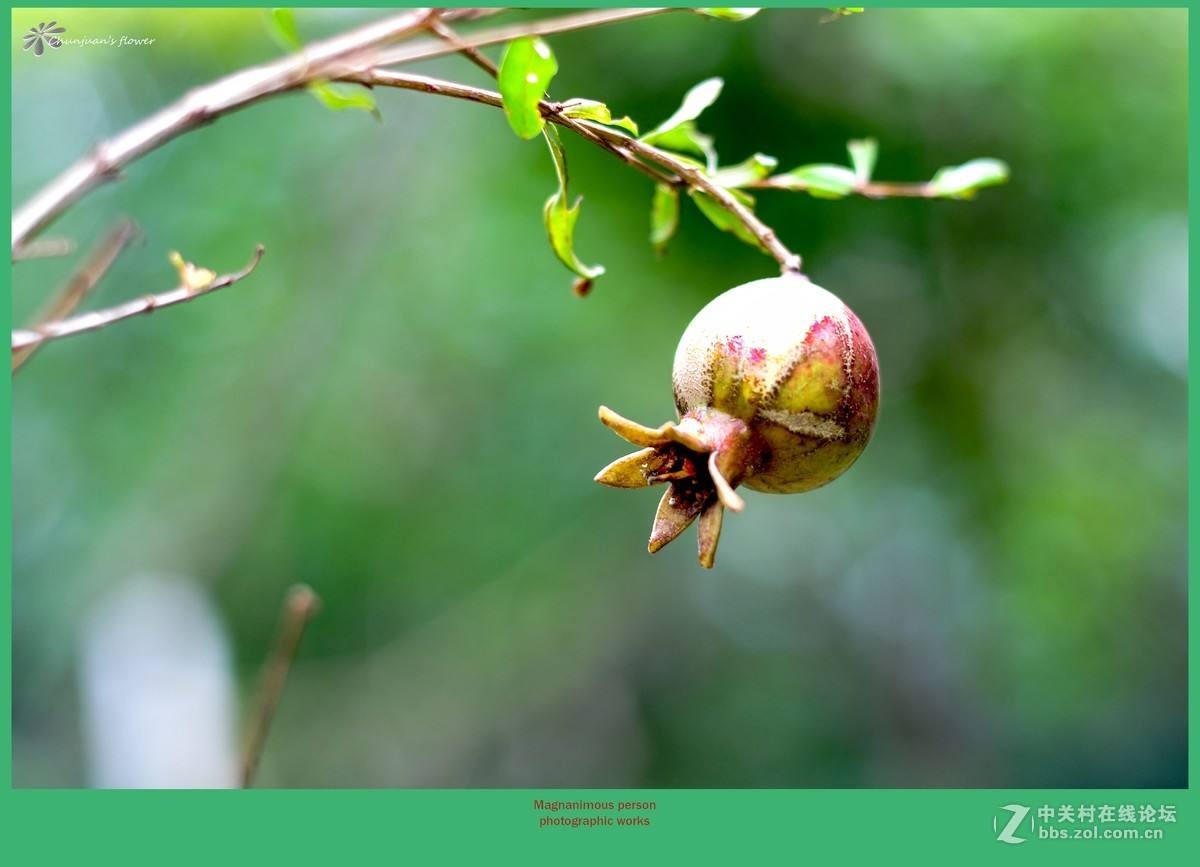 ȻѰɷ Ȼ,Ѱ ִʫ 213017fmoekko090kmnuuu