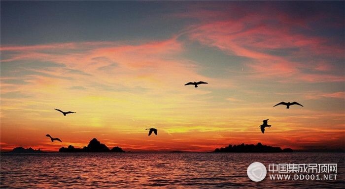 Ʈ䶬Ľ Ʈ,䶬,Ľ, ִʫ 091951fv246ukc77g4ukku