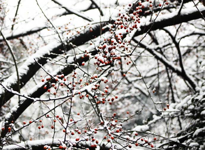 ѩϲӭף ϲӭ,,ף ִʫ 193411xp1pznksninnsirj