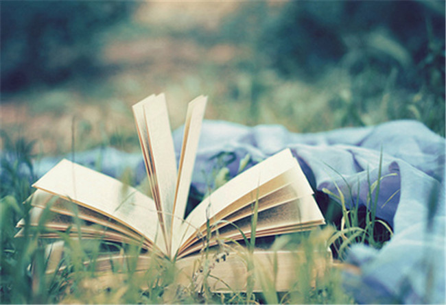 ñĹ  ɢ 212936zjj6imjqqvmrjrjn