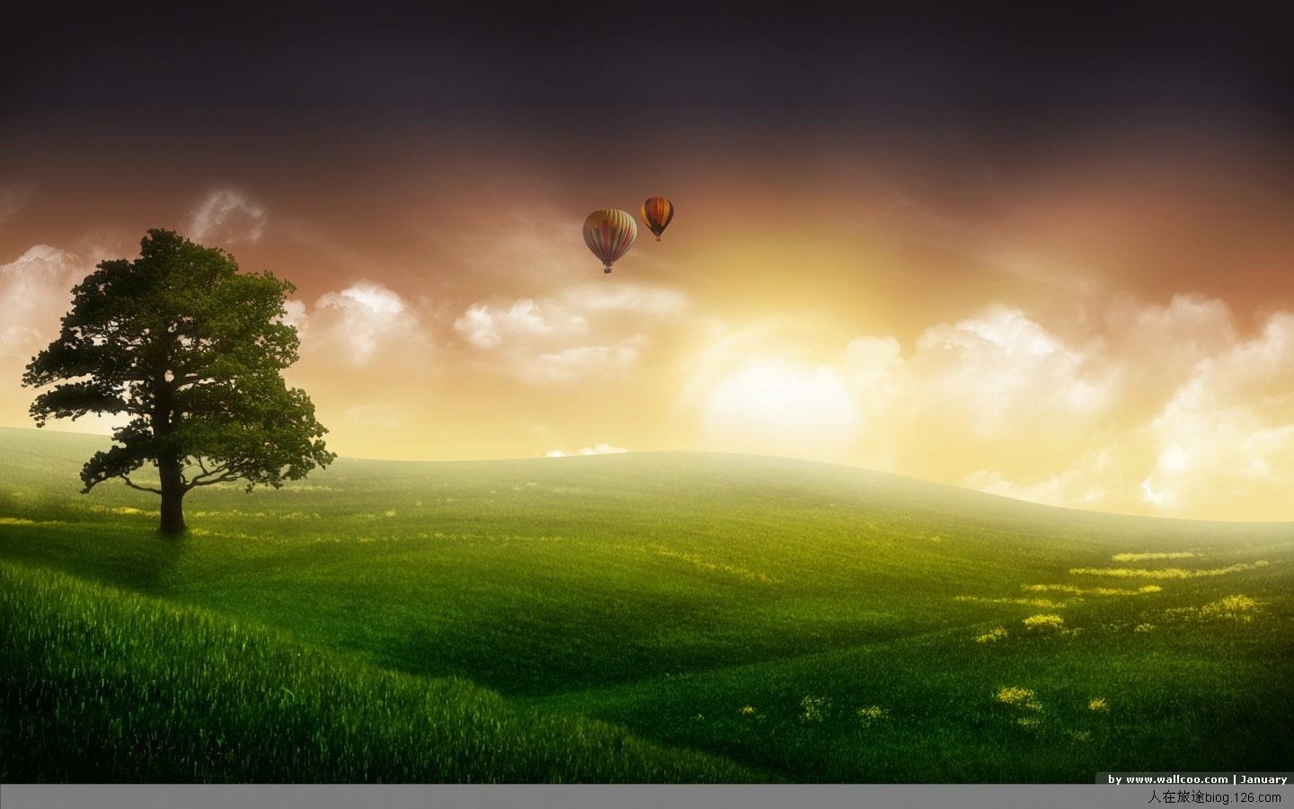 質;Ц 質,;,Ц, ִʫ 103648tuutt3d5z7tmiuoc