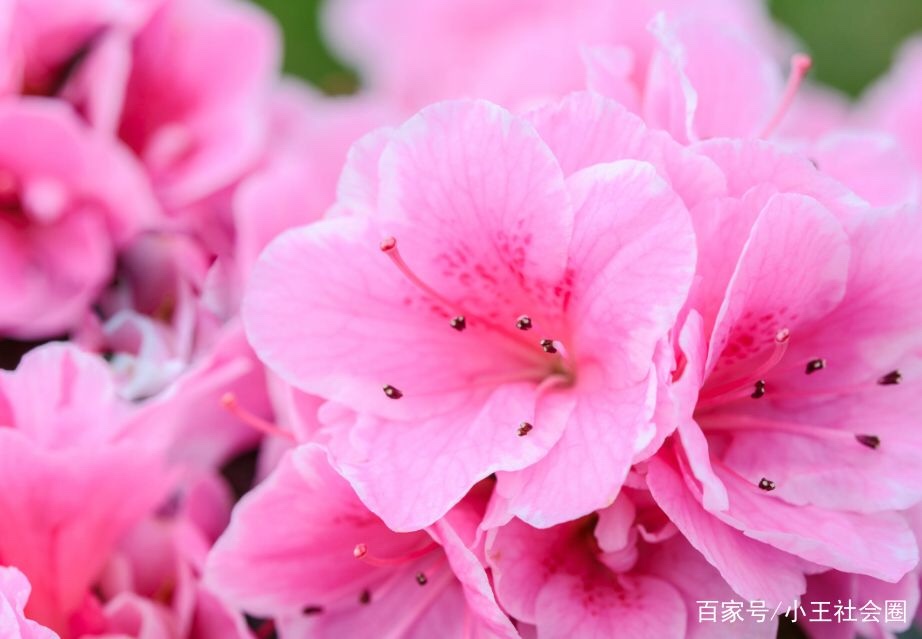 »ɢļ԰ҷ ԰,ҷ ɢ 095048i3vvxbdvr8dyaaar