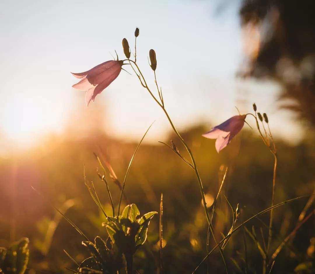 һٿ ,,,һ,ٿ ɢ 214814i8qxsqyqtaqr1st7