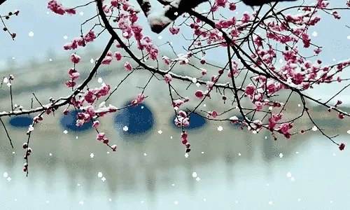 ÷ӭ ÷,ӭ Ͻ 085734a5qy7iyinhhmzm4t