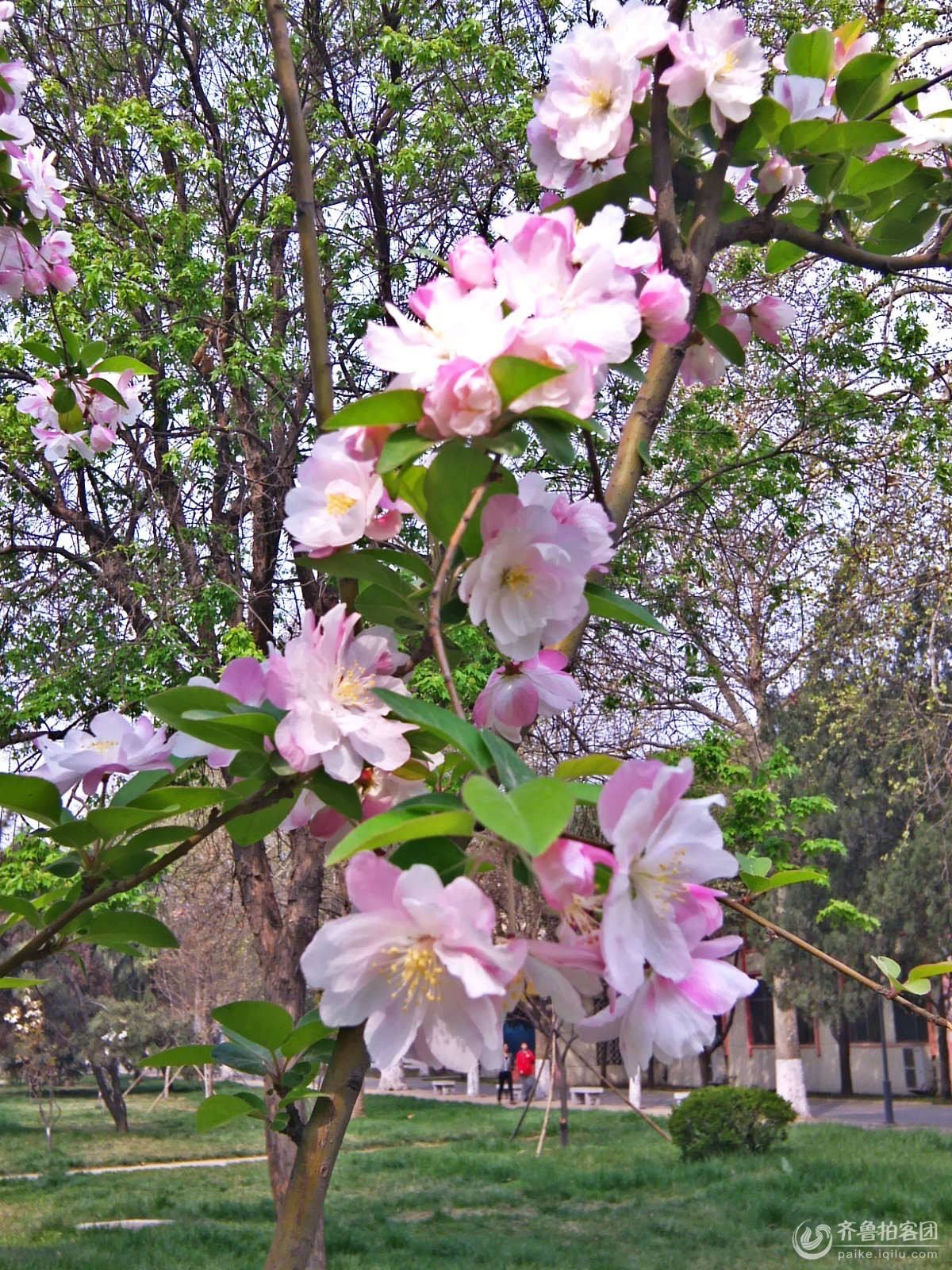 ÷Ƿҷ ÷,ҷ Ͻ 090645rcwzzwocqlzx6tsk