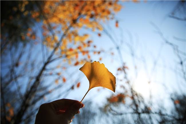 ů֮ʱ ů,֮,ʱ ɢ 163129l6xv2khqe8a6m0he