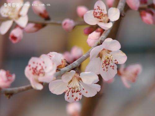 ȶ ,ȶ ɢ 180526y0kksk06wl9wwx0w