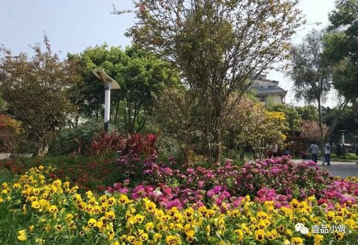 ѩС԰ С԰ ɢ 182313pujo6nvlnvw93lhv