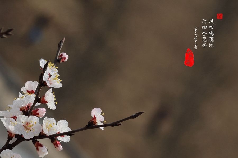 ÷  ɢ 083315uel2l90c1bzlxn8x