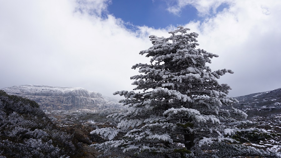 ѩŭţʫ֮һ ѩ,ŭ,,ʫ,֮һ ִʫ 152214x86aavvka2v2vkvt