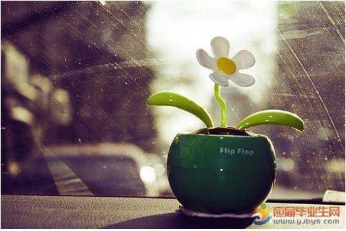 Ӧƽ ,ƽ ɢ 070837ugwz7gc40k3e40xg