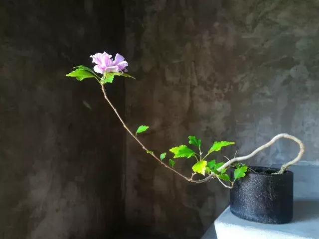 һȥ󺣣һƪ һ,,һƪ ִʫ 223209skh5jpl1obyj35so