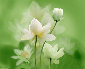  . ַ  Ͻ 084119vtcallz02cp28e12