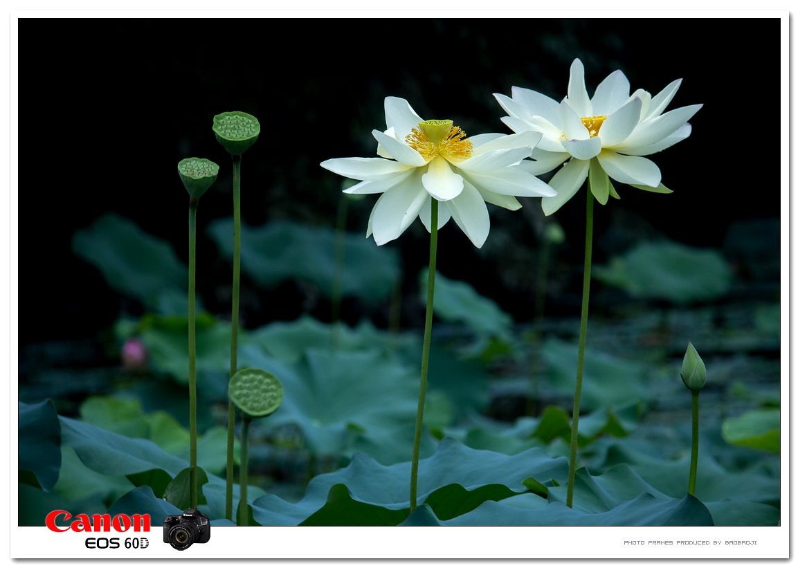 ���� . ���ƣ�ʮ�� ����,���� ���Ͻ��� 081251ny82yurfjlvxjuv0