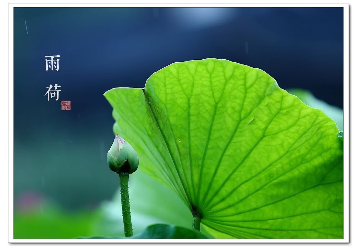  . ˼ߣ  Ͻ 064813z8d959ppjk1p9w1p