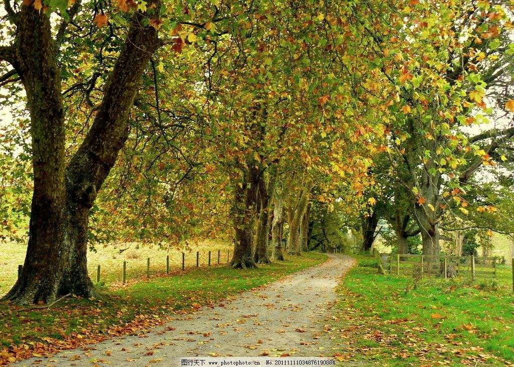  . ˣ , Ͻ 121836kroqo4frf2k3rysv