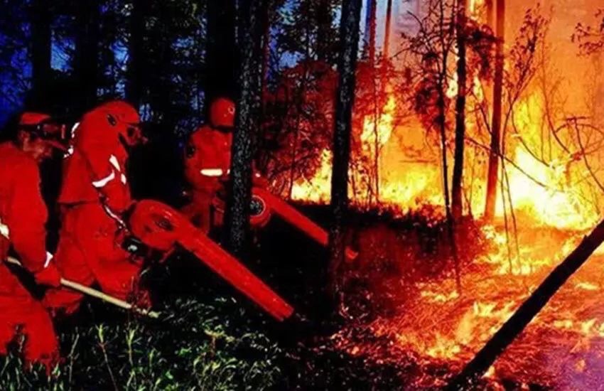 ӢۣȼյĲù⻪ һһΪĴɭֻ30λԱᱼ Ӣ,,ȼյ,,⻪ ִʫ 075258if98u33d05k0d30h