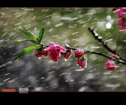 ٽ  㯺Ȼȥ ٽ,,Ȼ Ͻ 091331uw9wat23uw7lnsw2