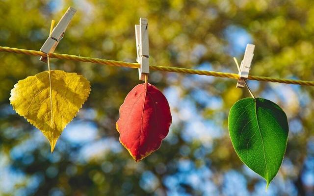 ЪЪ ,ЪЪ ɢ 221320nst4pptvtpdvzpds