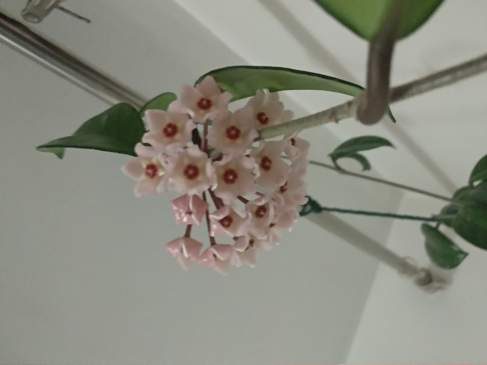 ֪ ,,֪ Ͻ 102611ea9di9q5250l0mid