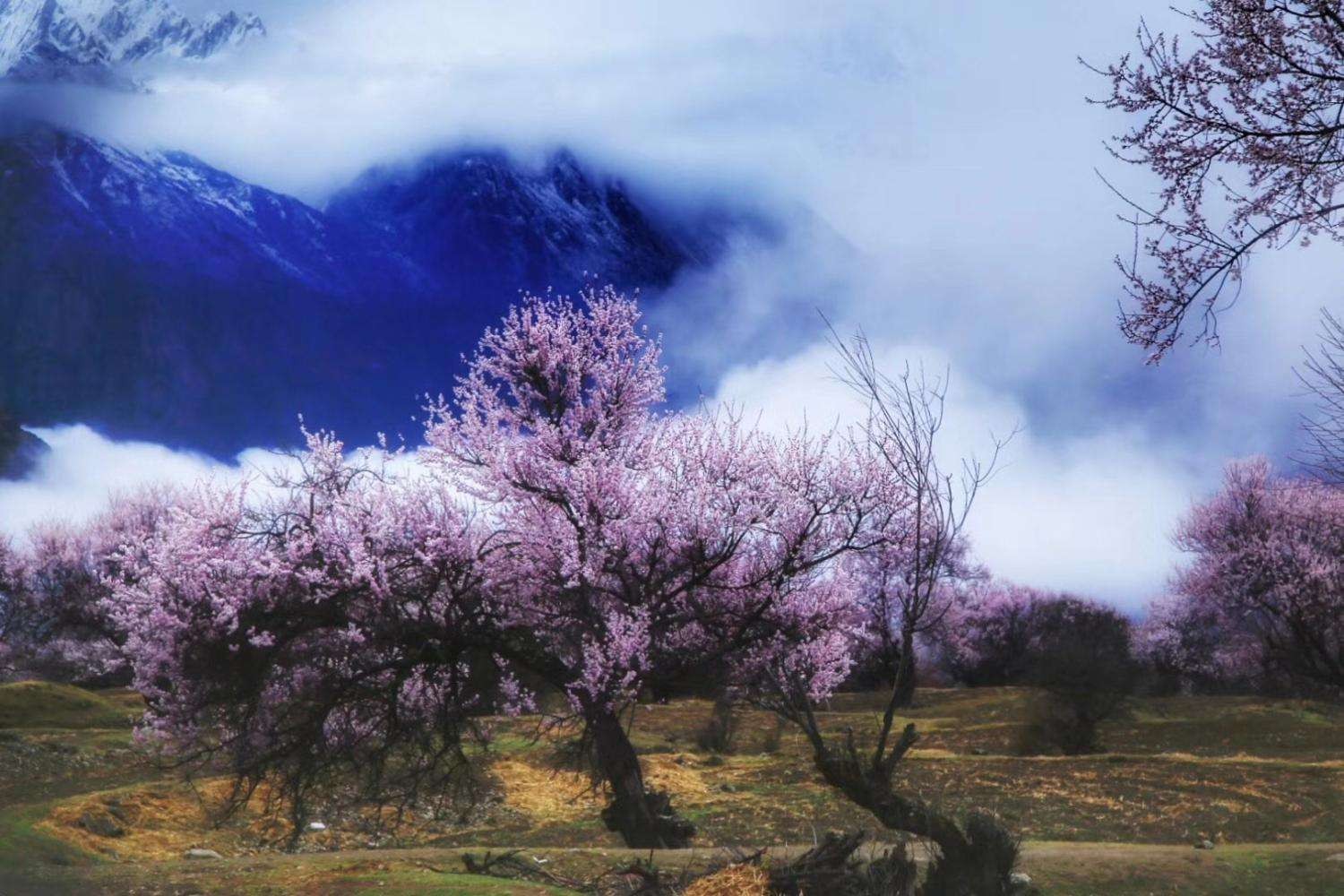   Ͻ 102056i1ivdm0taoi60zda