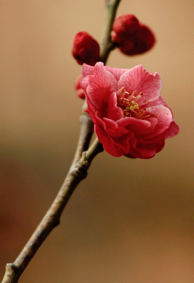 ĪǧԼ ǧ Ͻ 210604povqo34jno00vaj4