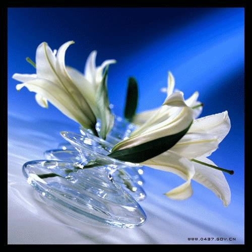 Ը  ִʫ 085027z99gj4rql9cqsv6c